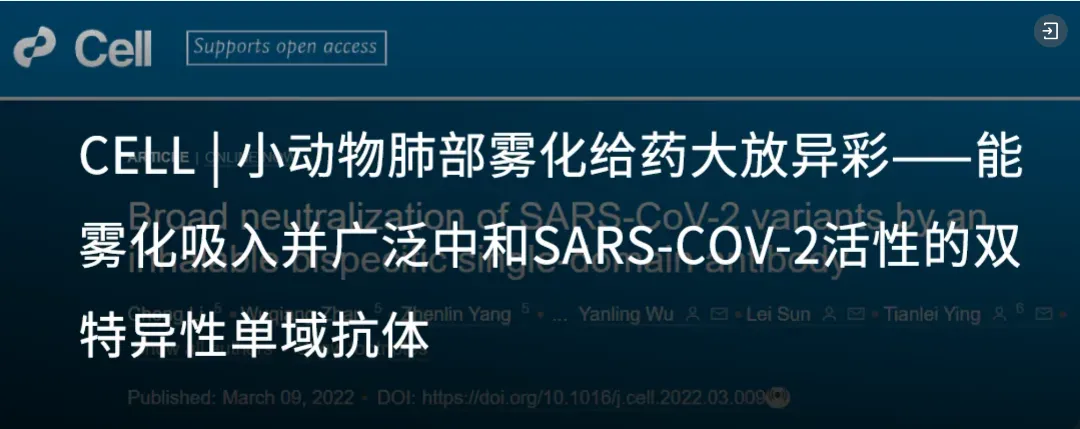 正在上传... image.png