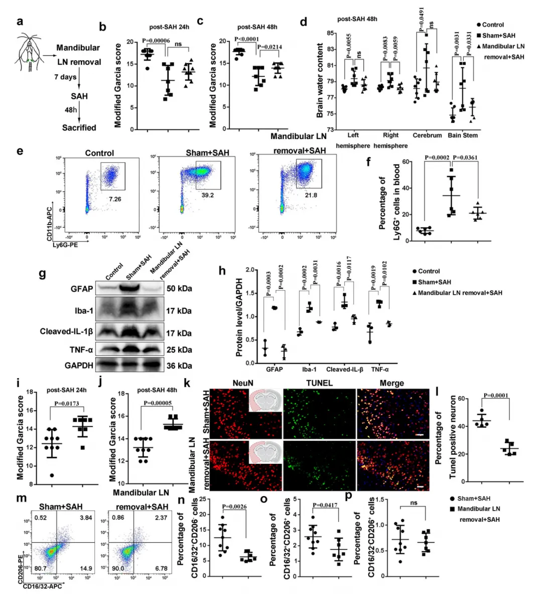 正在上传... image.png
