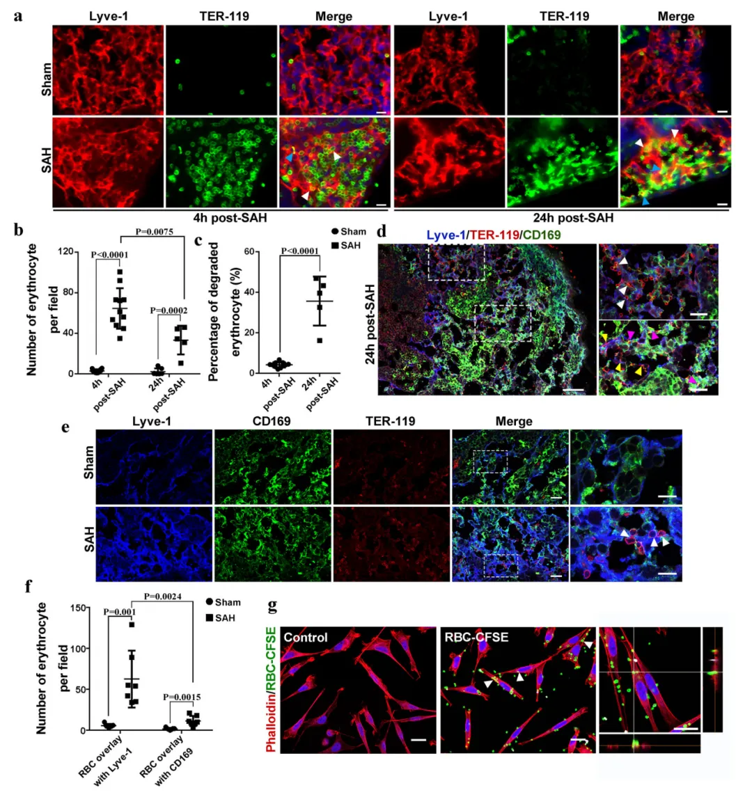正在上传... image.png
