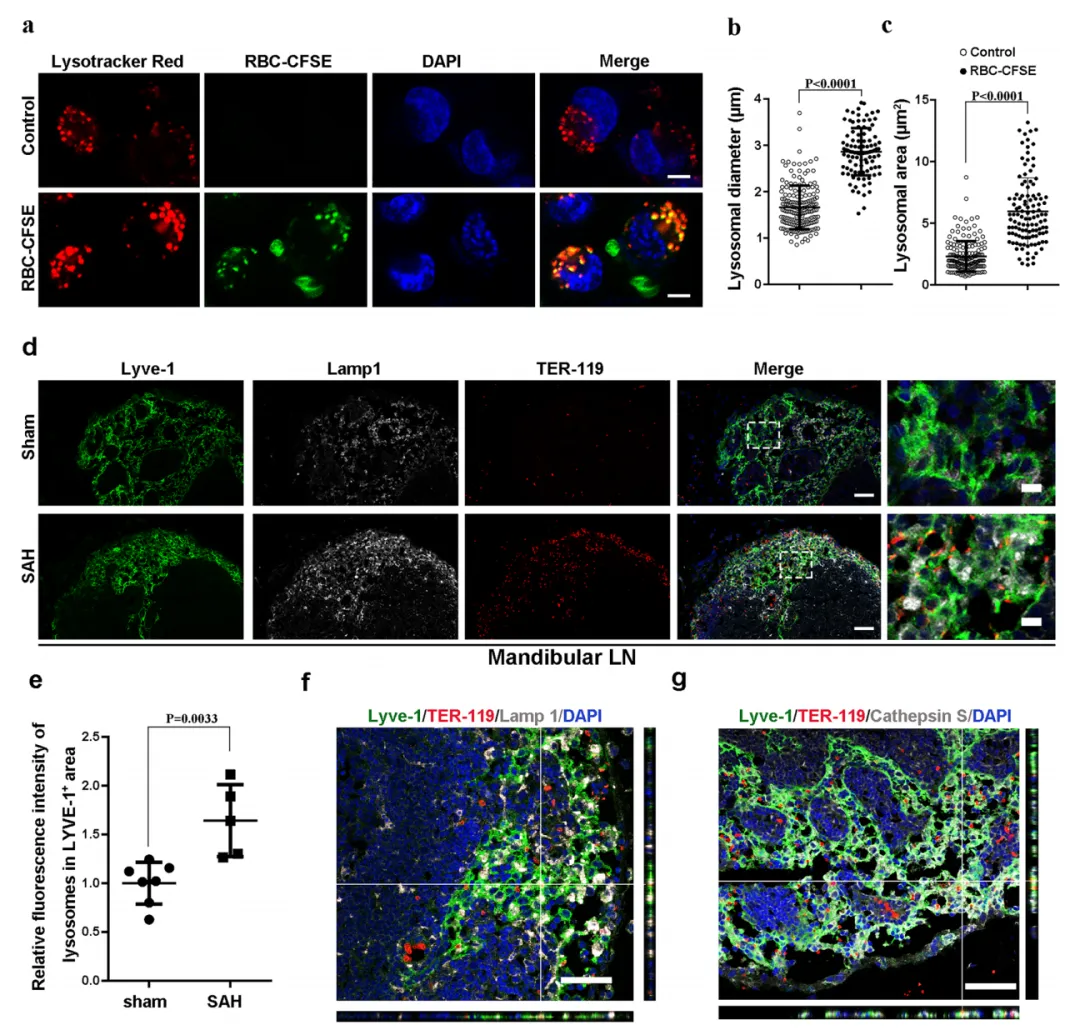 正在上传... image.png