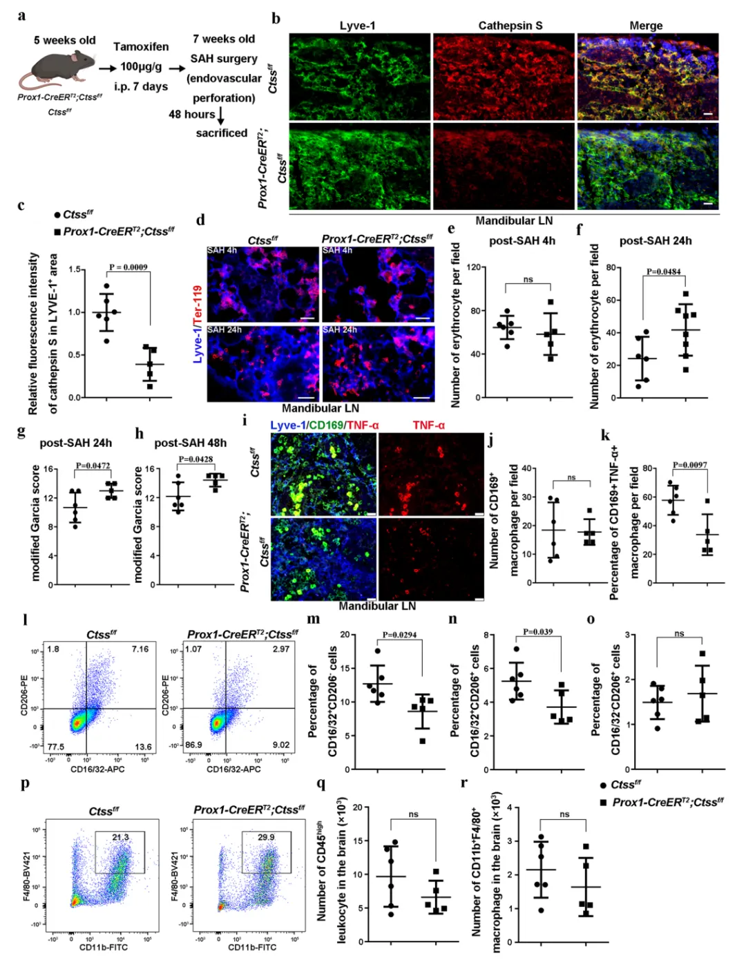 正在上传... image.png