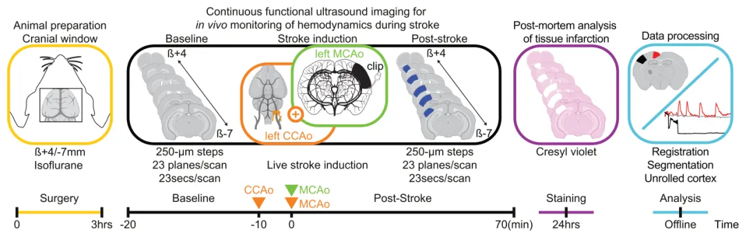 正在上传... image.png