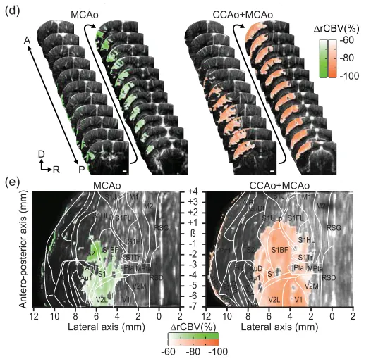 正在上传... image.png