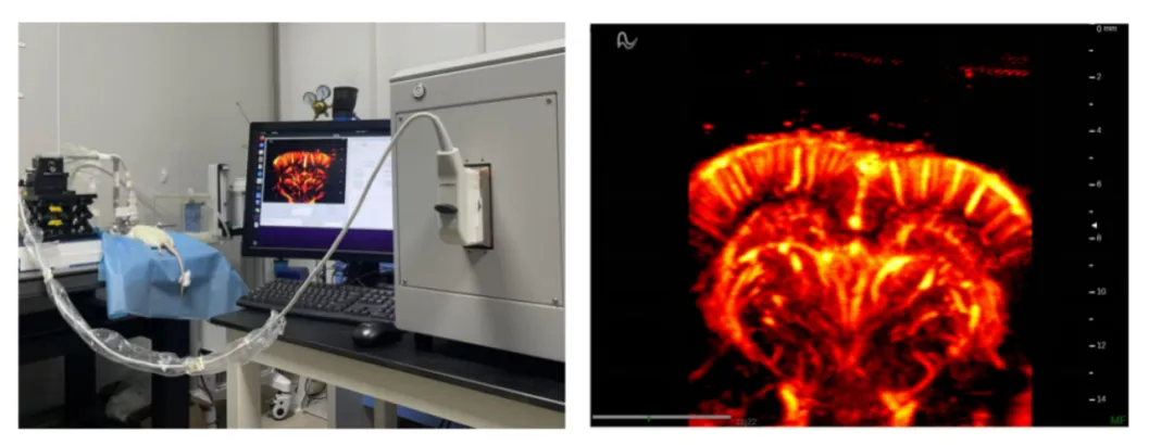 正在上传... image.png