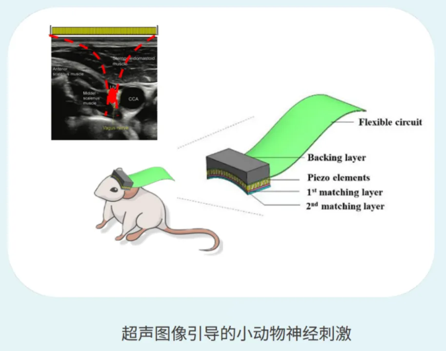 正在上传... image.png