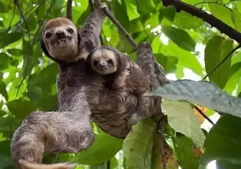 正在上传... image.png