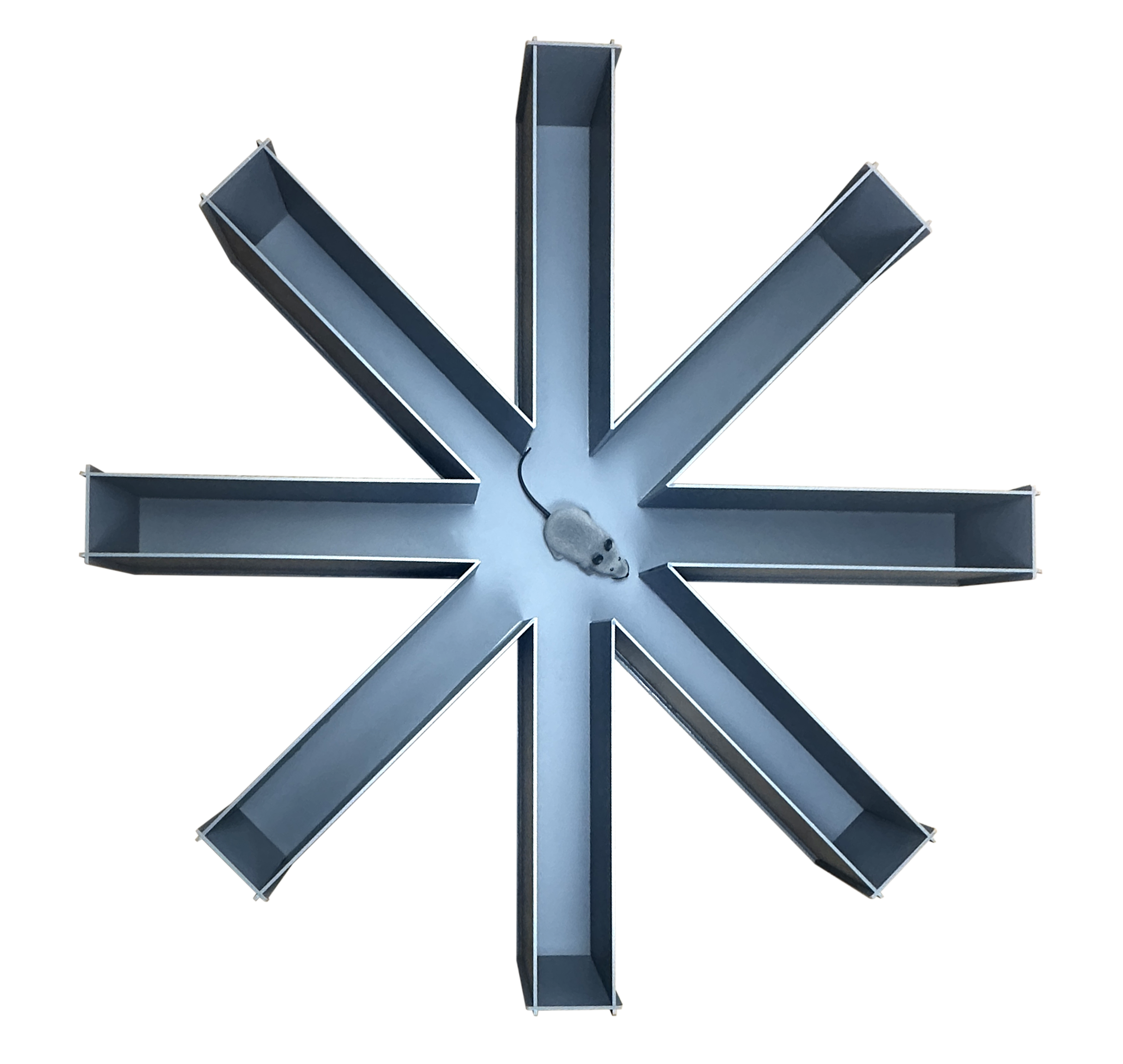 正在上传... 146981770082371_.pic_hd.jpg