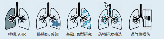 正在上传... 3czevflc.png