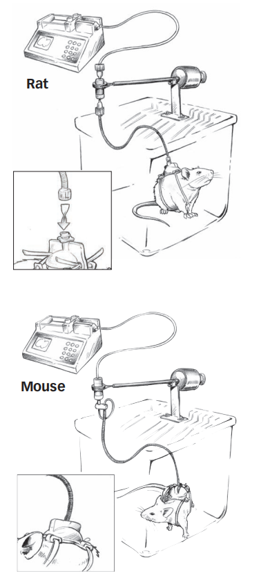 640.png