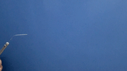 image.gif