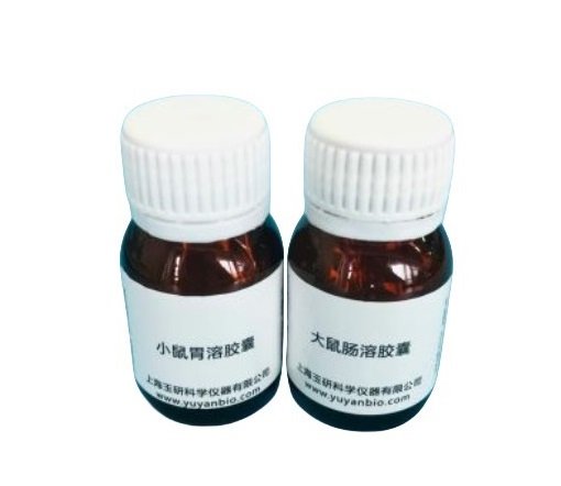 明胶胶囊，给药器，投药器