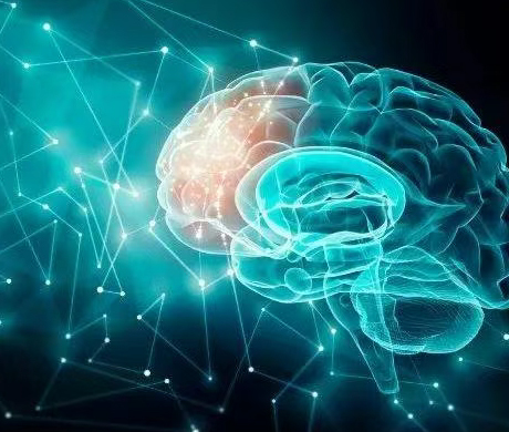 想知道神经科学咋研究？盘点脑立体定位仪等前沿技术与方法