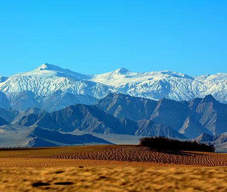 文献解读 | 低压氧控制系统助力高原肺水肿的致病机制与微生态干预策略研究