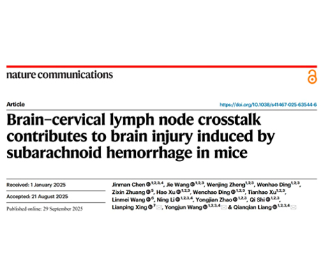 科研新突破：玉研无创血压计助力揭示脑-颈部淋巴结交互机制