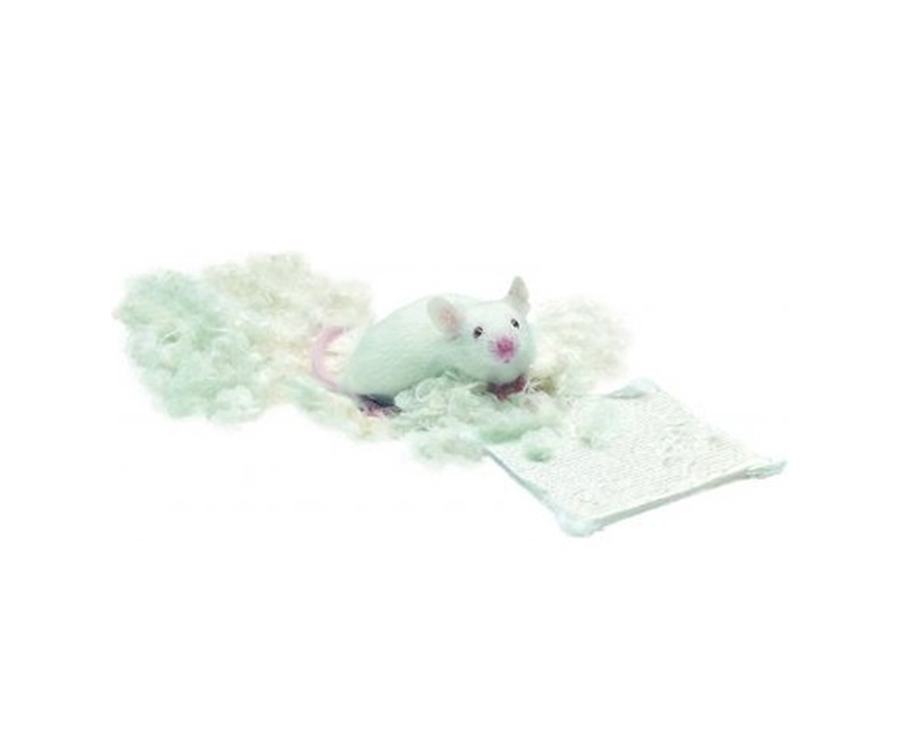 巢料片（筑巢材料）