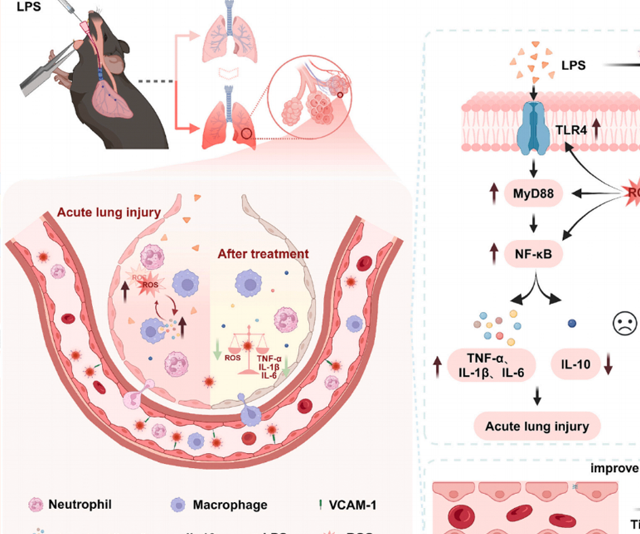 多篇SCI齐发！玉研肺部雾化给药器，为何成为顶尖科研团队的&ldquo;共同选择&rdquo;？